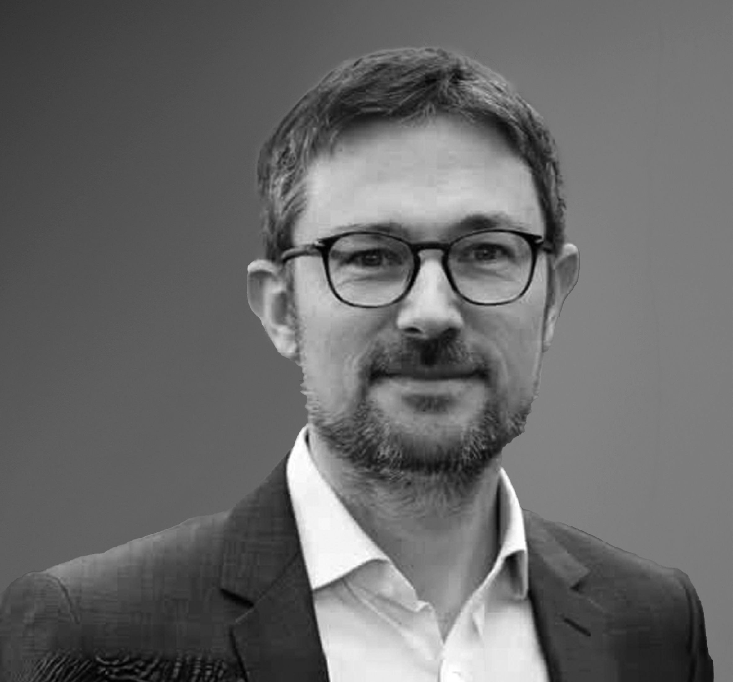 Écosystème PMS patrick mathieu singularité paris conseil france